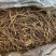 黄芩苗优质黄芩苗基地发货提供种植技术回收产品