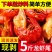 新鲜速冻特级龙虾尾一级虾尾