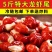 新鲜速冻特级龙虾尾一级虾尾