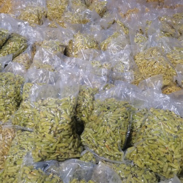 《美人椒》海花红/产地直发/大量上市/供应电商，市场商超