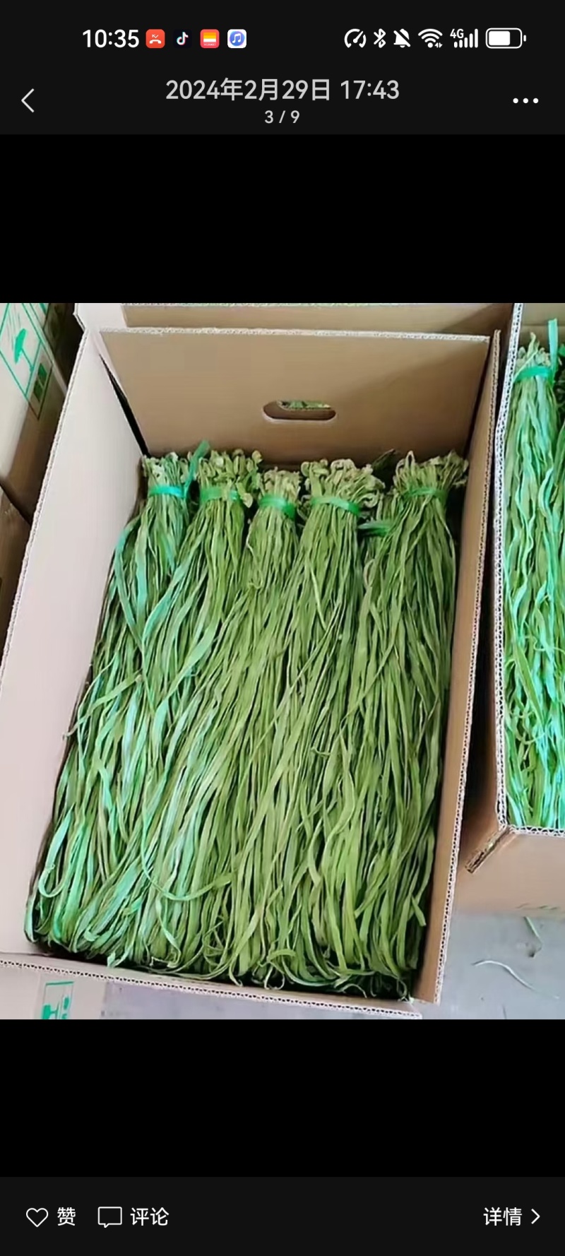 《美人椒》海花红/产地直发/大量上市/供应电商，市场商超