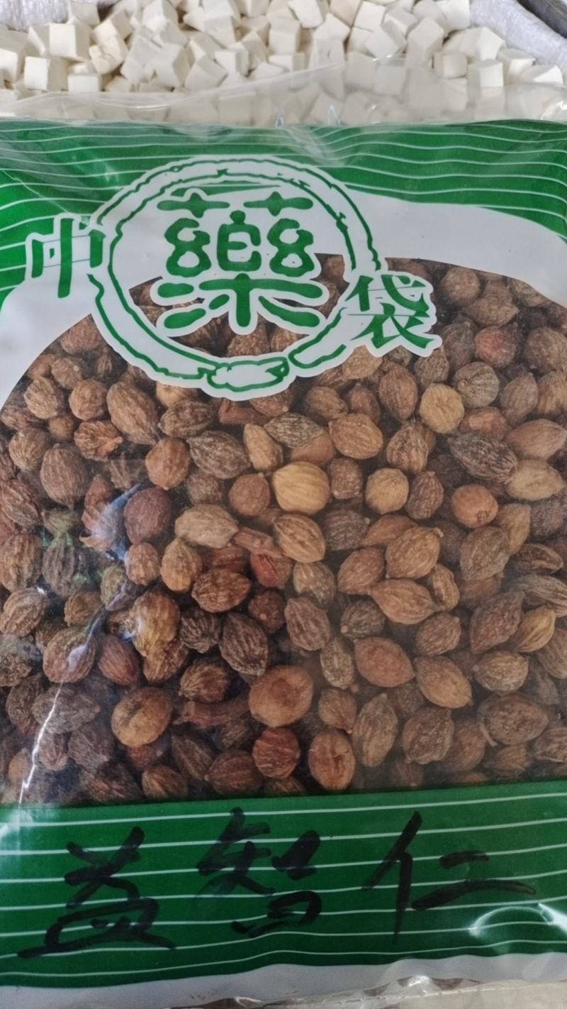 益智仁海南货益智仁一公斤起批