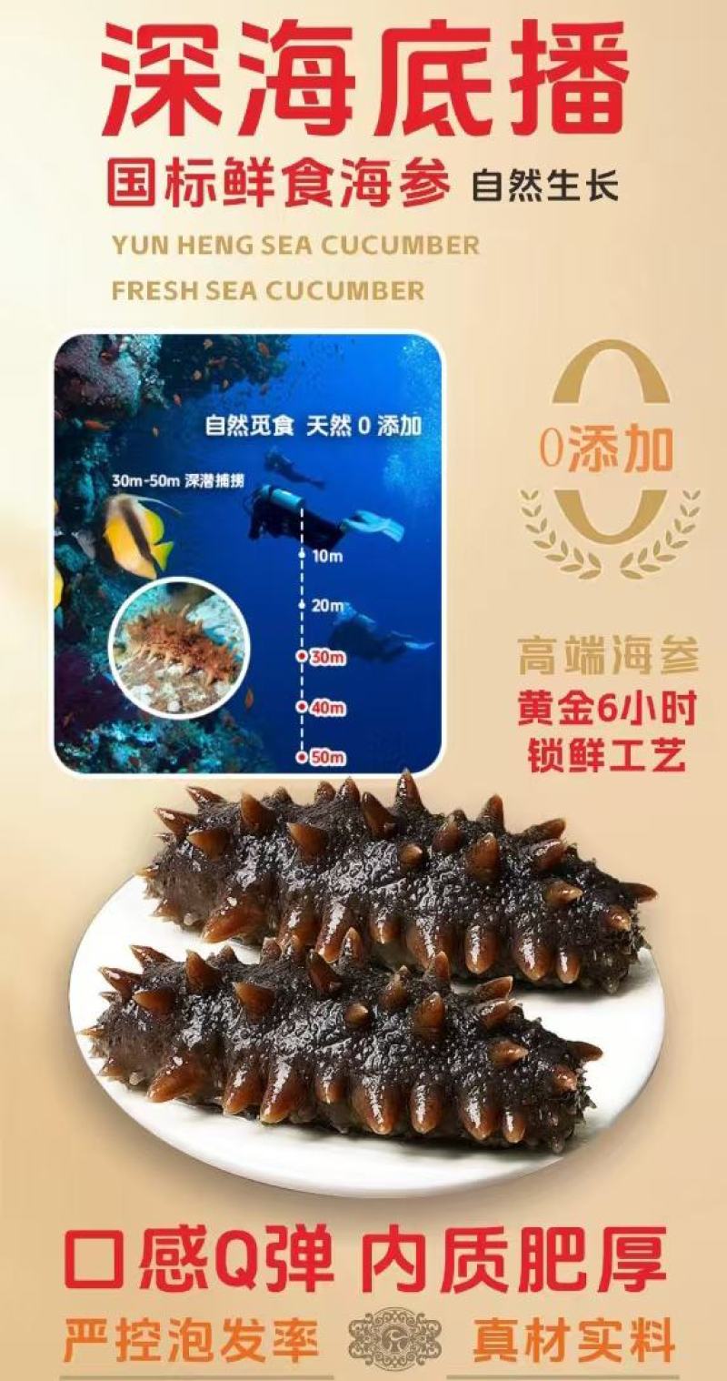 即食海参