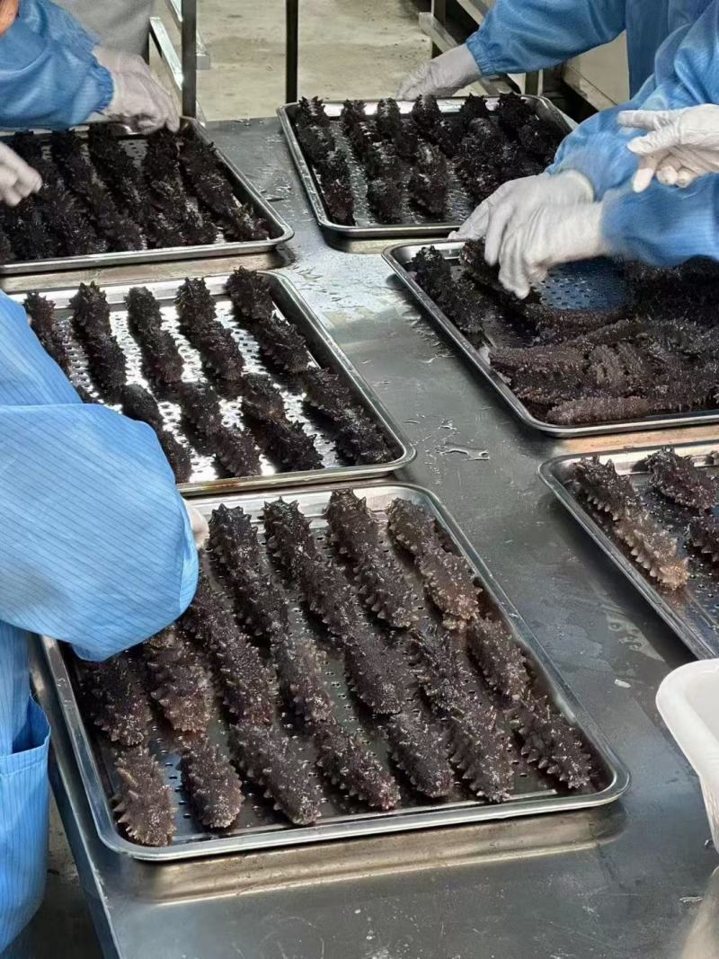 即食海参