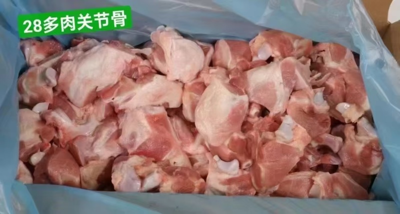 28关节骨