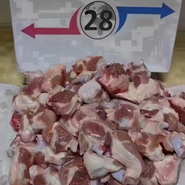 28关节骨