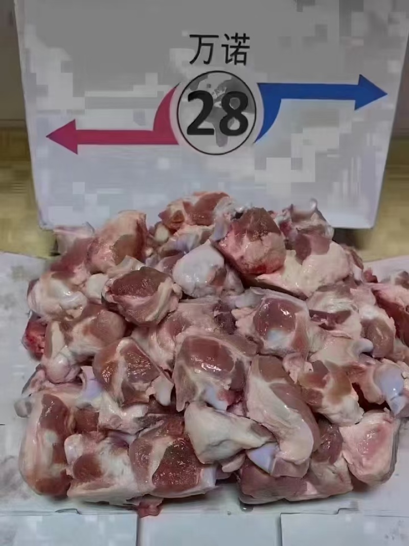 28关节骨