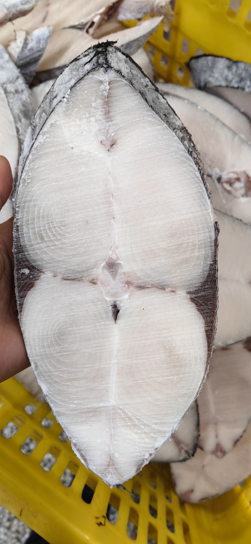 马鲛鱼片