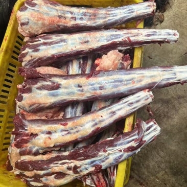 青藏高原/肉质细腻牦牛尾/天然放养/低脂高蛋白/滋补佳品