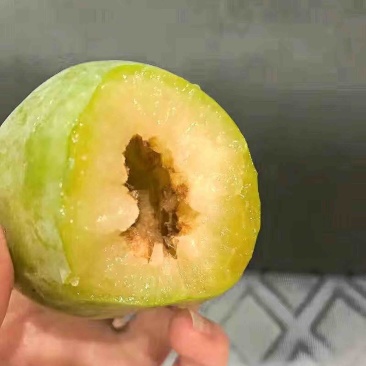 广西甜心奈李电商一件代发！电商货团购，批发，落地配