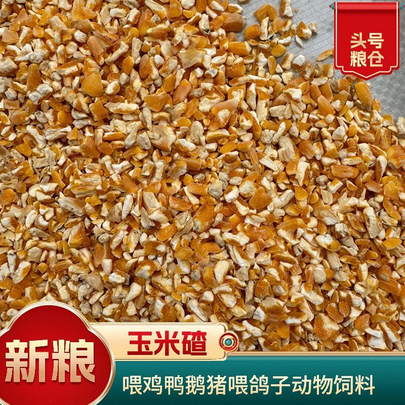 碎玉米粒水分13无土无沙无霉变无杂质容重690以上