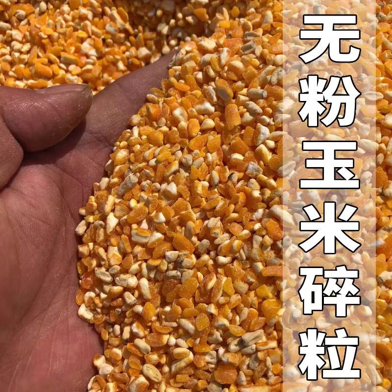 2024年碎玉米粒水分13容重690以上无土无沙