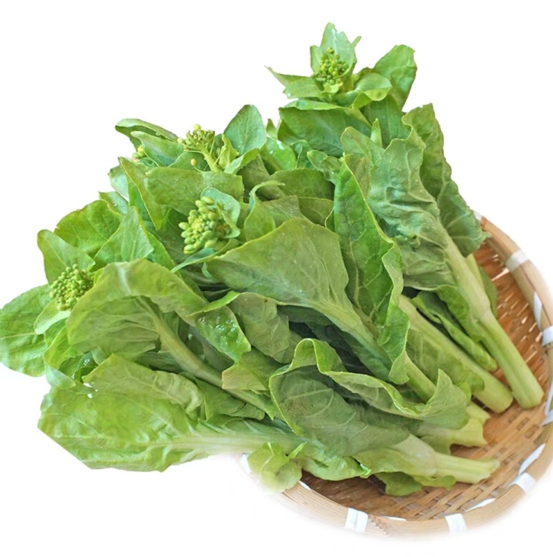 白菜苔白菜芯湖北白菜苔精品白菜苔新鲜白菜苔菜苔