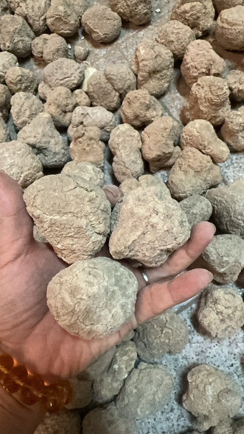 产地直达，精品虎乳个