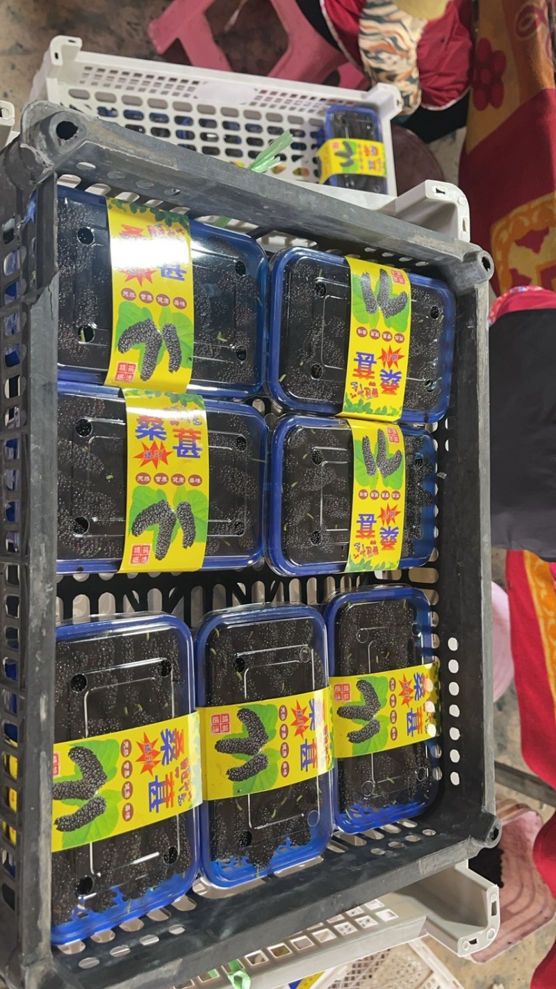 精品桑葚支持各种规格包装，12合1，10合1，8合1，