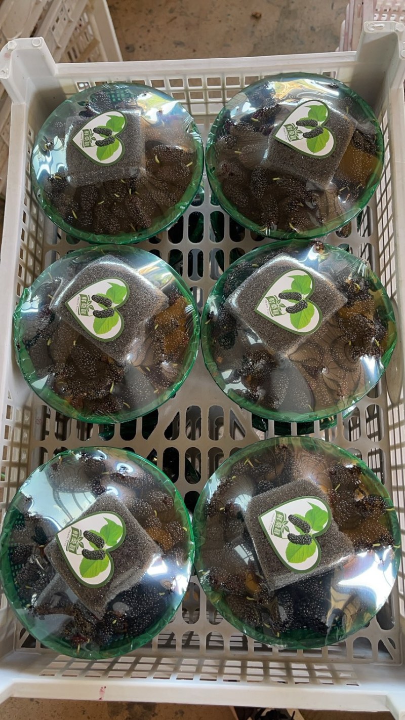 精品桑葚支持各种规格包装，12合1，10合1，8合1，