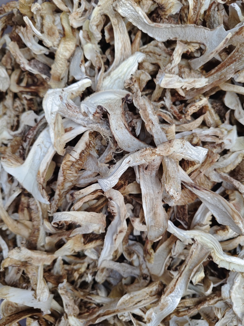 云南香格里拉野生松茸片
