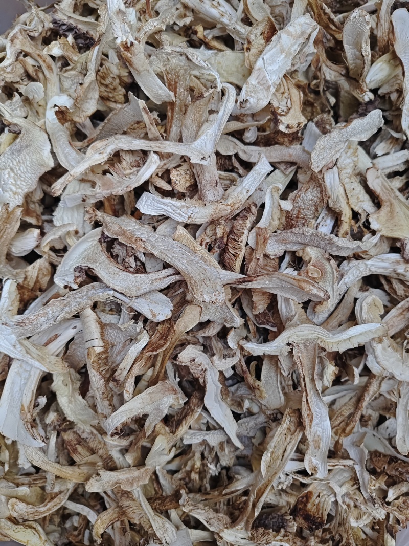 云南香格里拉野生松茸片