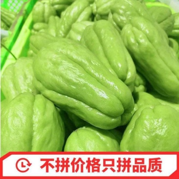 贵州新鲜佛手瓜3/5/9斤高原新鲜蔬菜洋瓜捧瓜丰收寿瓜