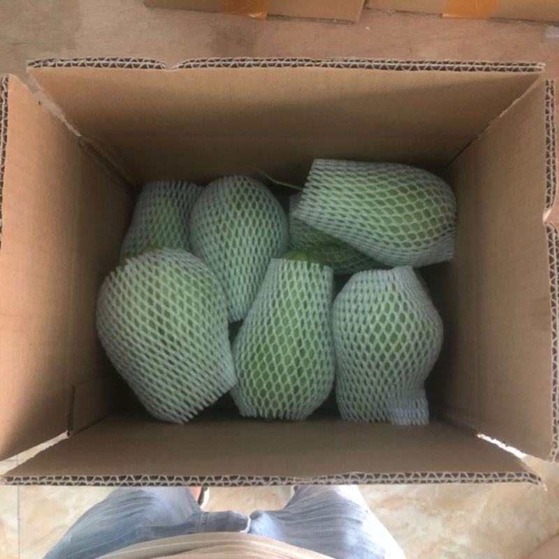 贵州新鲜佛手瓜3/5/9斤高原新鲜蔬菜洋瓜捧瓜丰收寿瓜