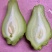 贵州新鲜佛手瓜3/5/9斤高原新鲜蔬菜洋瓜捧瓜丰收寿瓜