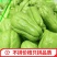 贵州新鲜佛手瓜3/5/9斤高原新鲜蔬菜洋瓜捧瓜丰收寿瓜