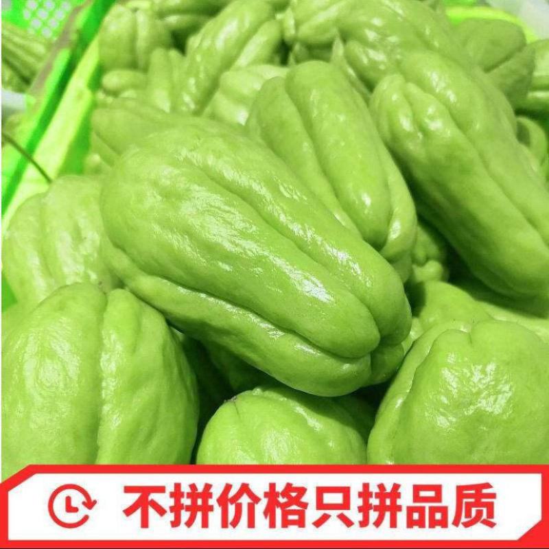 贵州新鲜佛手瓜3/5/9斤高原新鲜蔬菜洋瓜捧瓜丰收寿瓜
