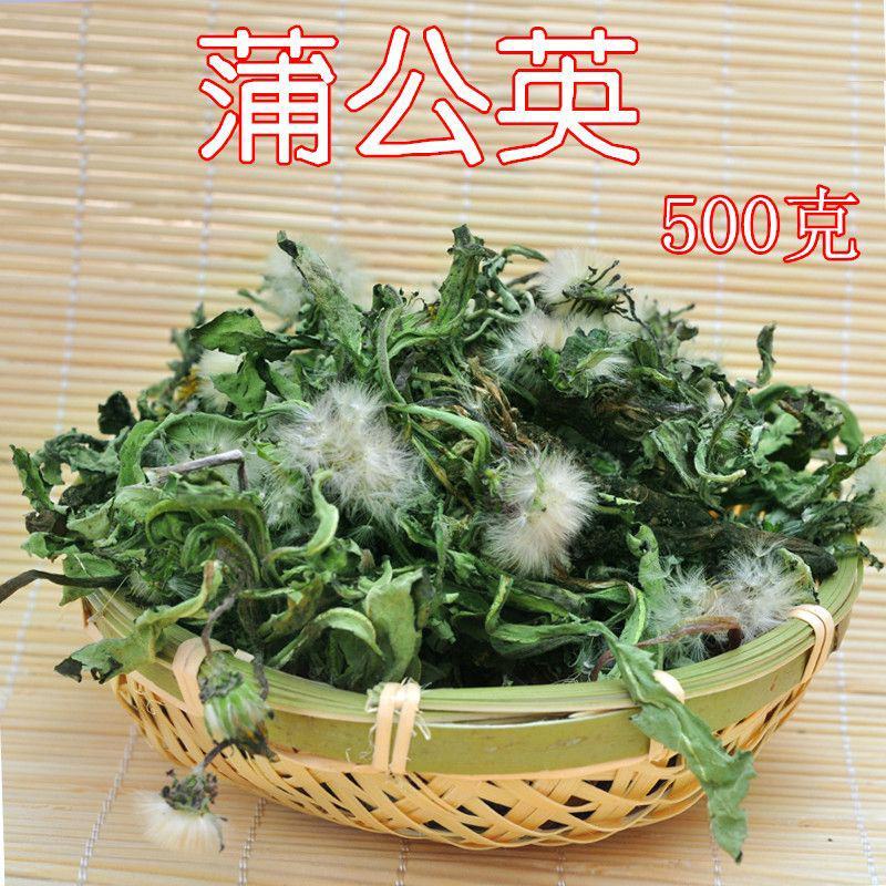 沂蒙山蒲公英蒲公英茶整棵带根带花新鲜晒干布布丁蒲公英