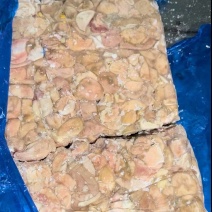 白肚4000/吨捡漏捡漏
