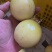 钦蜜9号黄金百香果一件代发，电商一件代发，团购批发