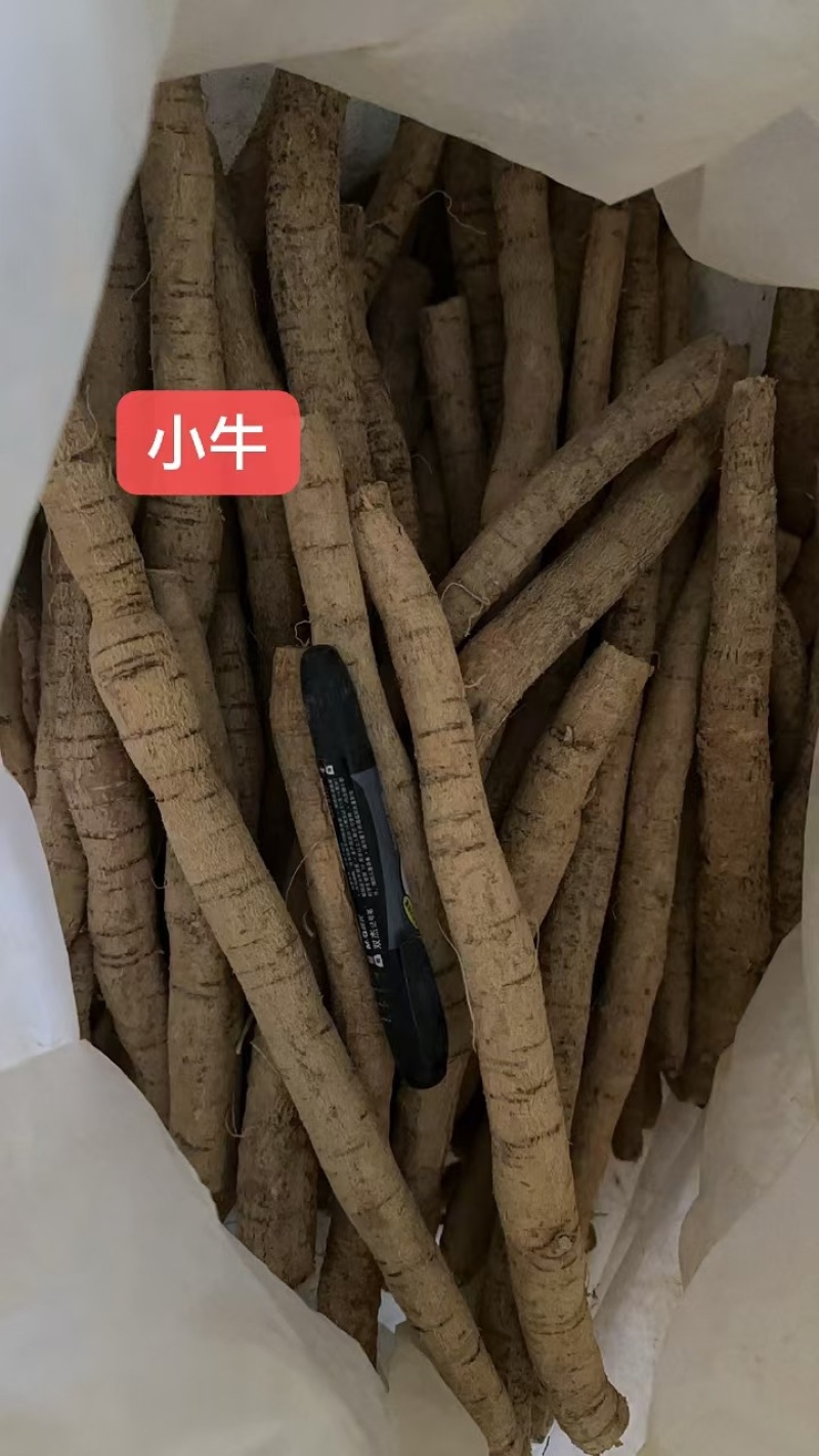 大叶牛大力鲜货干自产自销全国发货长期供应批发基地直发