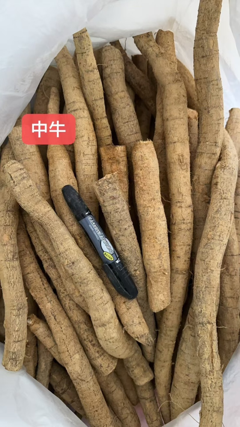 大叶牛大力鲜货干自产自销全国发货长期供应批发基地直发