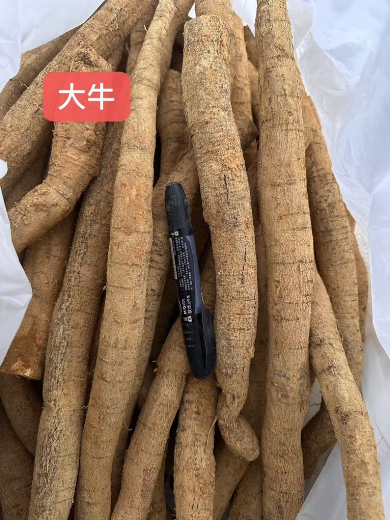大叶牛大力鲜货干自产自销全国发货长期供应批发基地直发