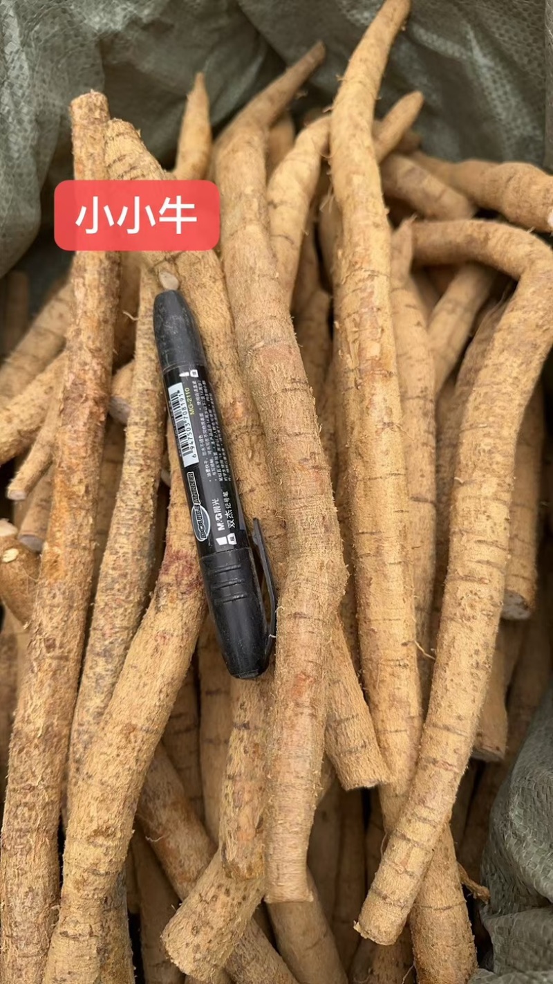 大叶牛大力鲜货干自产自销全国发货长期供应批发基地直发