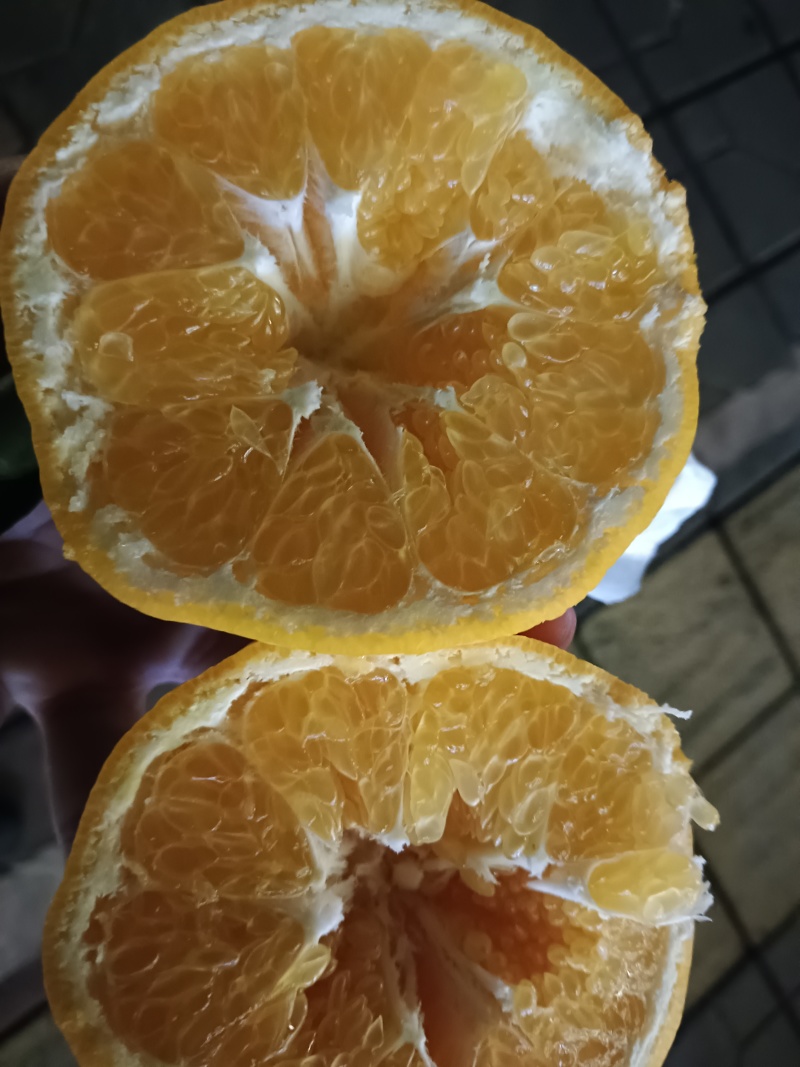 耙耙柑.大量有货，通货次果价格都便宜，需要联系！