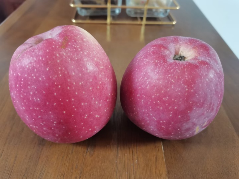 大量元素高钾肥，膨果增甜上色快，高端水溶肥，量大优惠