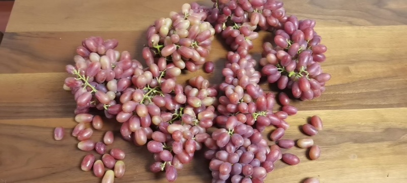 大量元素高钾肥，膨果增甜上色快，高端水溶肥，量大优惠