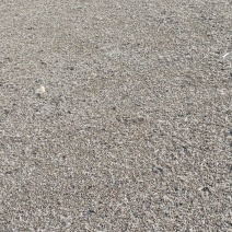 鹌鹑粪
