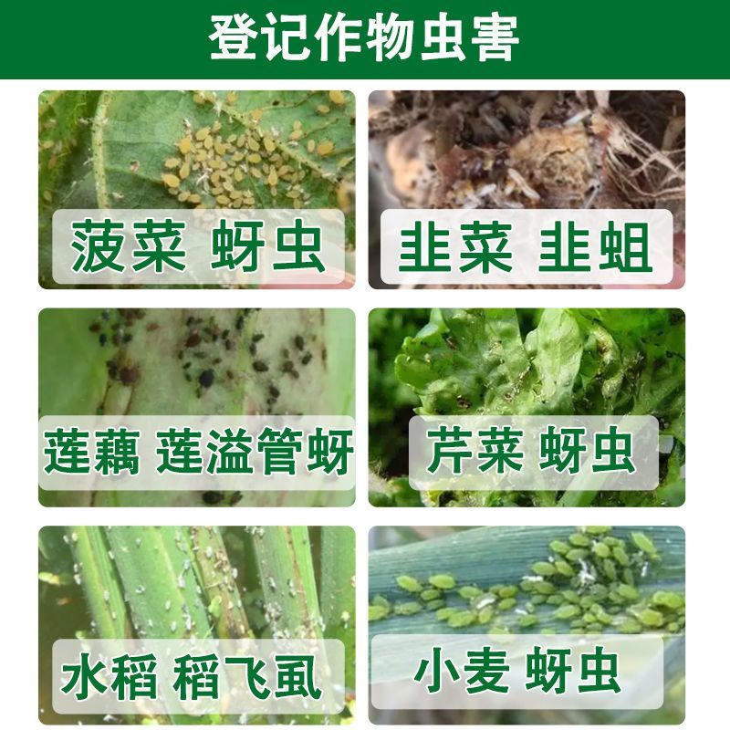 10%吡虫啉杀虫药小麦蚜虫水稻稻飞虱农用农药批发杀虫剂