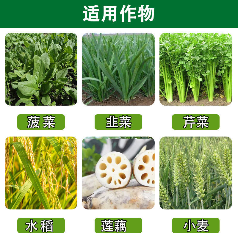 10%吡虫啉杀虫药小麦蚜虫水稻稻飞虱农用农药批发杀虫剂