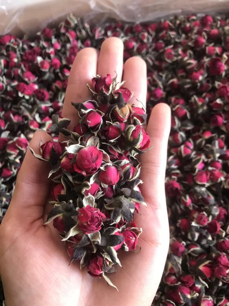 金边玫瑰，金边花冠，花香四溢，物美价廉，货源充足，量大价优