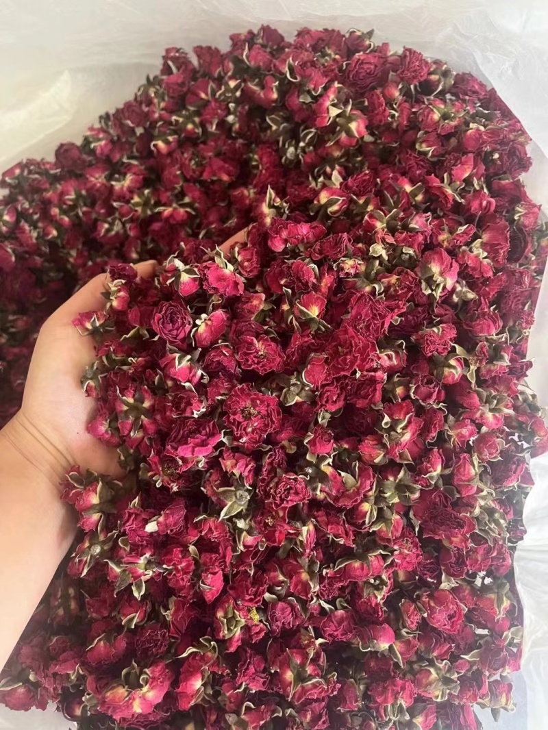 金边玫瑰，金边花冠，花香四溢，物美价廉，货源充足，量大价优