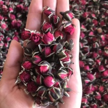 金边玫瑰，金边花冠，花香四溢，物美价廉，货源充足，量大价优