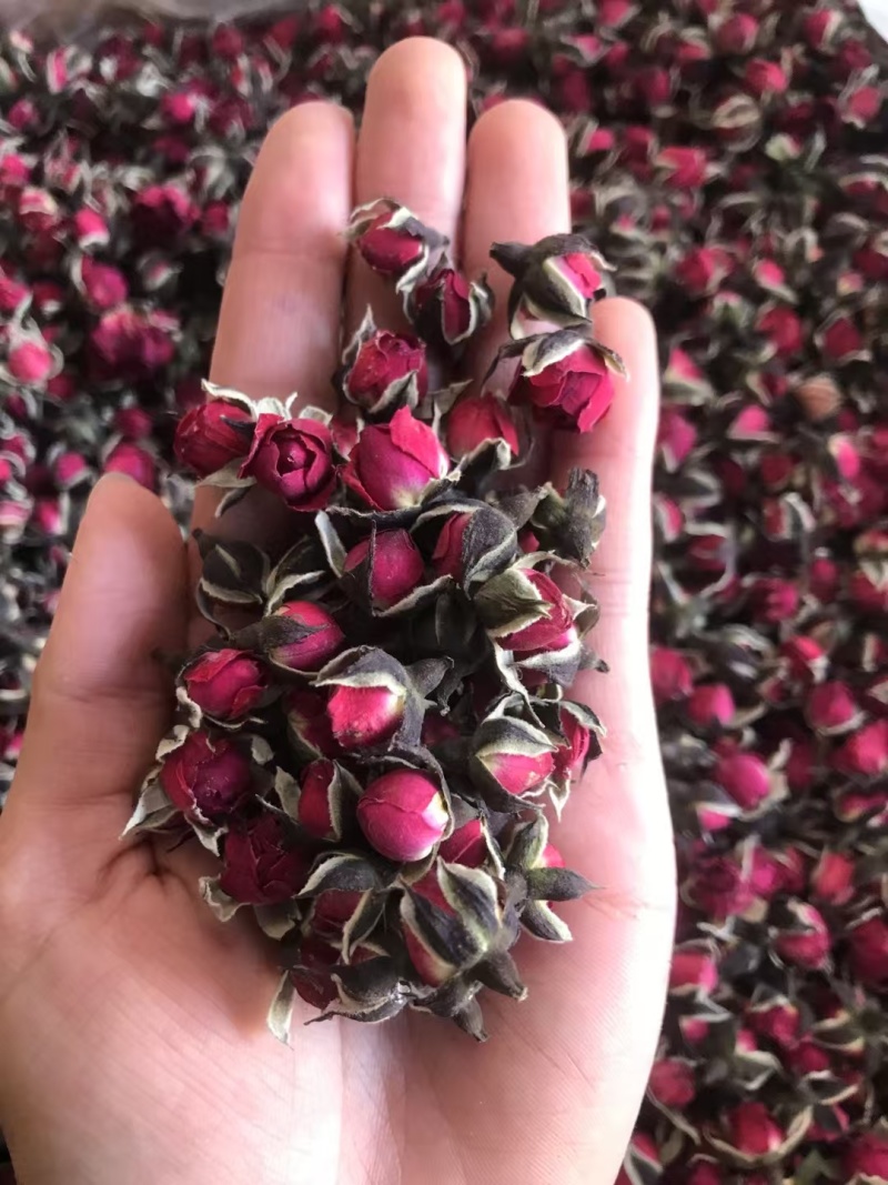 金边玫瑰，金边花冠，花香四溢，物美价廉，货源充足，量大价优