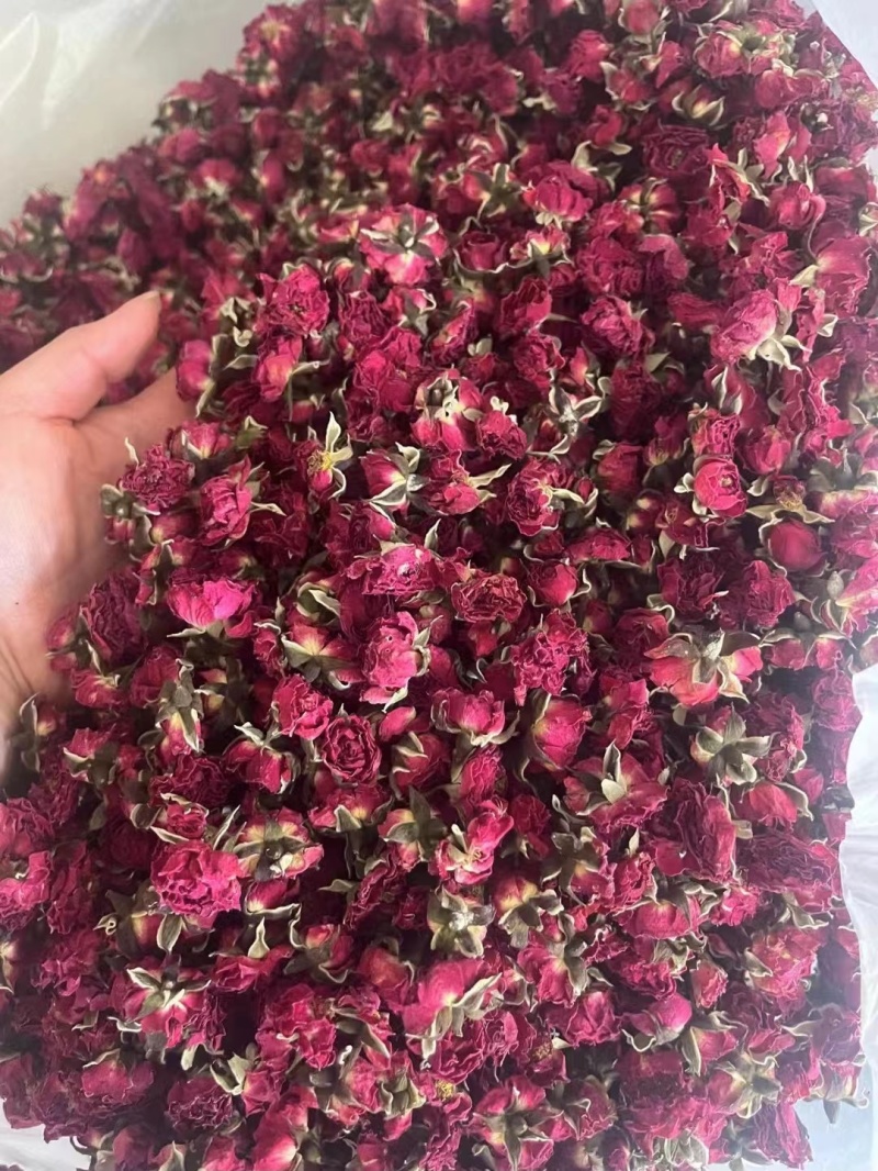 金边玫瑰，金边花冠，花香四溢，物美价廉，货源充足，量大价优