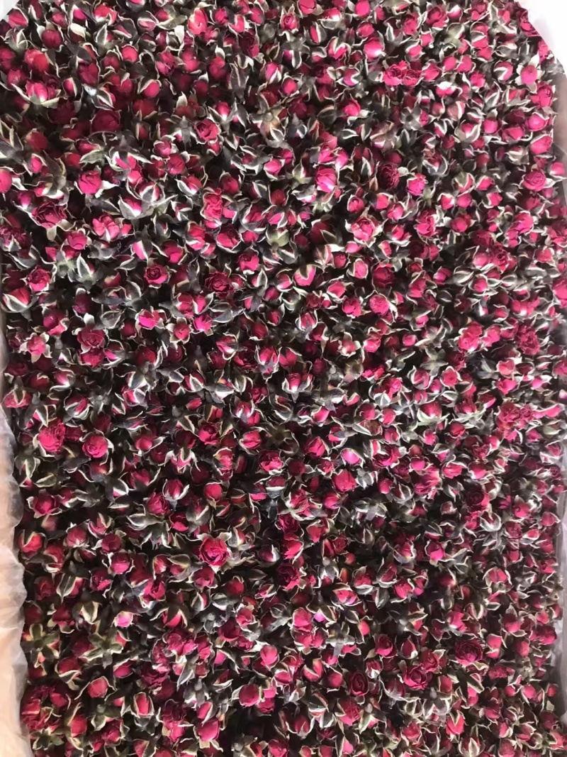 金边玫瑰，金边花冠，花香四溢，物美价廉，货源充足，量大价优