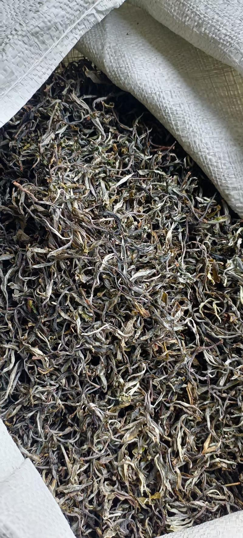茶晒青茶，产地直供量大从优品质保障欢迎咨询