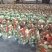 精品水洗萝卜，包装走车价六毛钱，产地甘肃靖远。