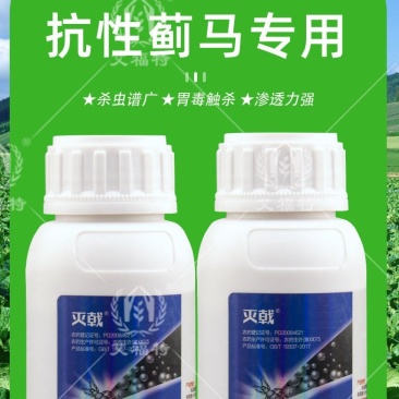 蓟马专用药茄子辣椒瓜果蔬菜黑蓟马花蓟马等
