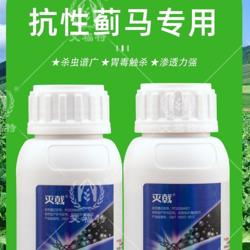 蓟马专用药茄子辣椒瓜果蔬菜黑蓟马花蓟马等